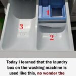 The Right Way to Use Your Washing Machine’s Detergent Drawer