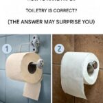 How to properly hang toilet paper? (The answer may surprise you)