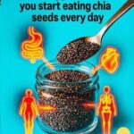 Chia Seeds: What Happens When You Eat Them Every Day