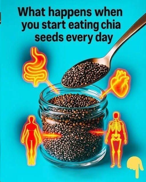 Chia Seeds: What Happens When You Eat Them Every Day